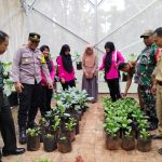 Potret Polsek Dungkek, Polres Sumenep cek pekarangan warga sebagai bentuk dukungan ketahanan pangan nasional.