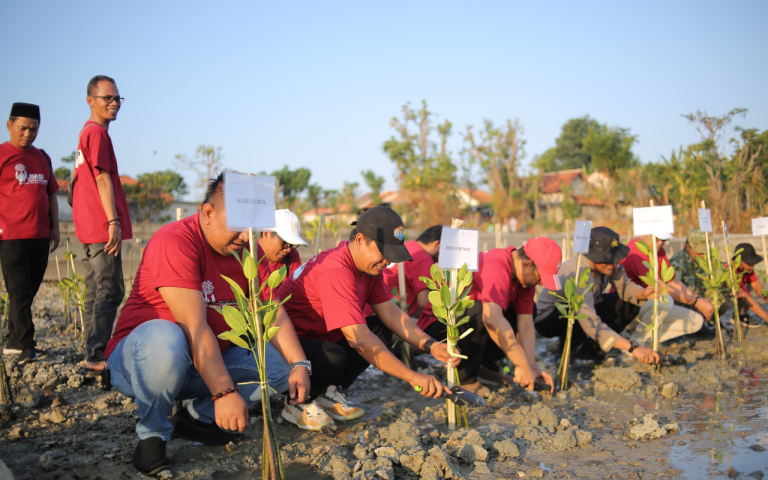 Aksi Penanaman 1.500 bibit mangrove di kawasan pesisir Pantai Matahari, Desa Lobuk, Kecamatan Bluto Oleh JMSI Sumenep.